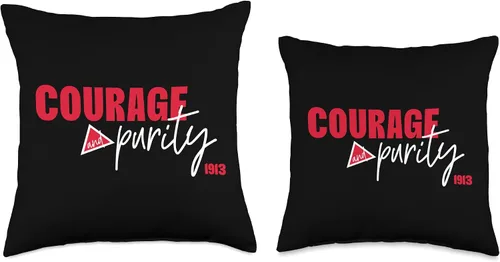 Miniatura 3 de The DST In Me Courage Crimson and Purity Triangle Sisterhood - Almohada de 16 x 16 pulgadas, multicolor