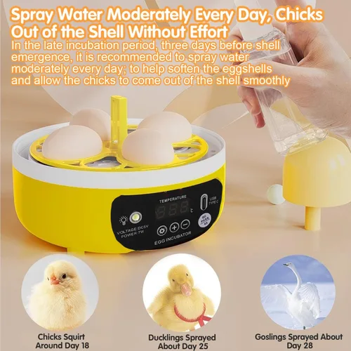 Miniatura 5 de Tissting Mini incubadora de 4 huevos con tapa transparente, control automático de humedad de temperatura de 7 W, máquina de incubación de aves