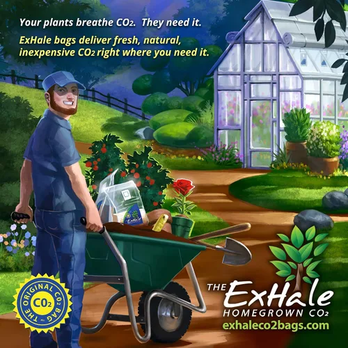 Miniatura 5 de ExHale Homegrown CO2 365 - Bolsa autoactivada para salas de cultivo y tiendas de campaña, ideal para salas de cultivo en interiores, CO2
