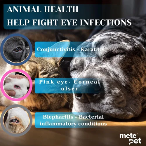 Miniatura 3 de Vetromycin pomada oftálmica para mascotas para perros y gatos 1/8 oz /5gr, 1 tubo - Cuidado ocular diario suave, aplicación tópica fácil