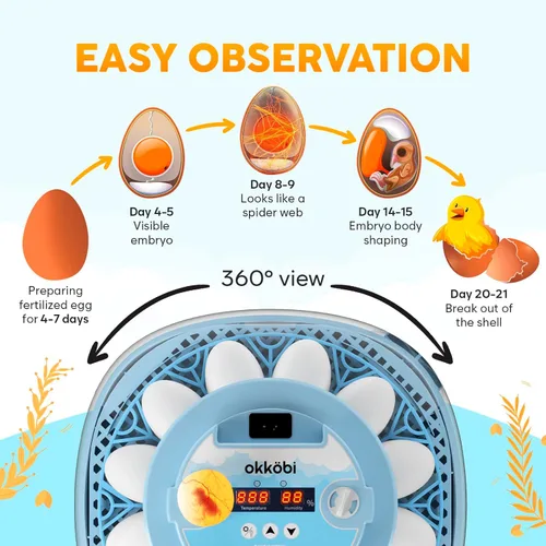 Miniatura 4 de Incubadora de 12 Huevos con Giro Automático de Huevos y Control de Humedad – Incubadoras de Huevos para Incubar Huevos – Ovoscopio, Recarga