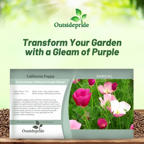 Miniatura 6 de Outsidepride Purple Gleam - Semillas de amapola California – 5000 unidades. Semillas anuales, tolerantes a la sequía y fáciles de cultivar