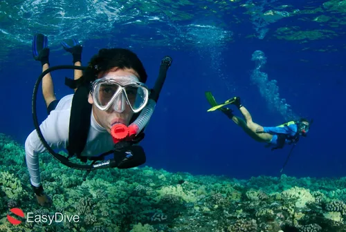 Miniatura 4 de Nuevo EasyDive Explorer: el sistema completo de buceo y snorkel