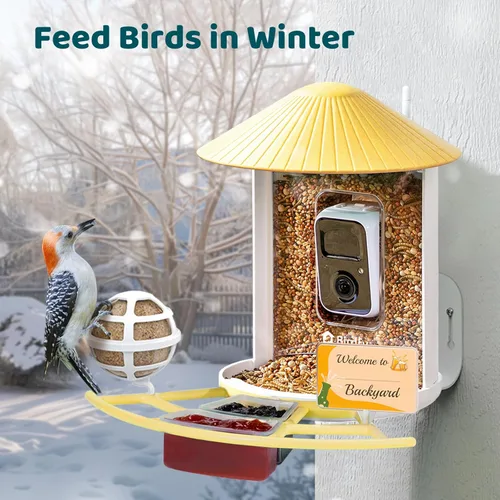 Miniatura 8 de NETVUE by Birdfy Pro Comedero Inteligente para Pájaros con Cámara y Panel Solar, Alertas de Llegada Instantáneas, Transmisión en Vivo y Visión