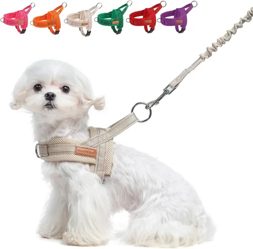 Miniatura 9 de BEAUTYZOO Arnés para Perros Pequeños, Juego de Arnés y Correa sin Tirones, Arnés de Chaleco para Cachorros Suave a Prueba de Escapes con Manija