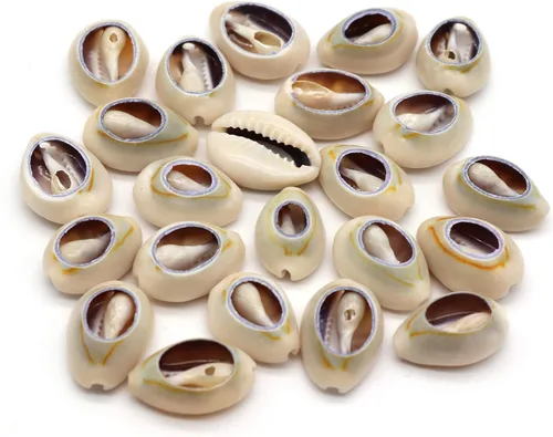 Miniatura 4 de 100 cuentas de concha de cauri naturales fuertes blancas de 0.63 a 0.71 pulgadas, conchas marinas ovaladas de corte liso, conchas marinas de playa