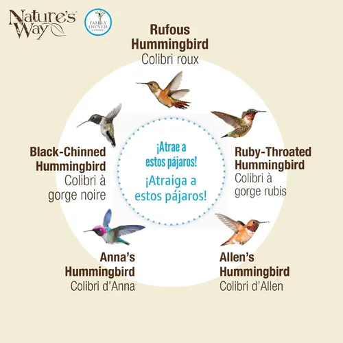 Miniatura 6 de Nature's Way Bird Products GHF7 alimentador de colibrí iluminado soplado a mano