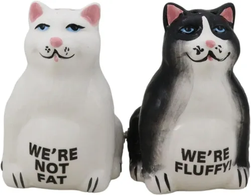 Ebros Gift Feline - Juego de figuras magnéticas de cerámica con diseño de gatos esponjosos, salero y pimentero, 3.25 pulgadas de alto, diseño de