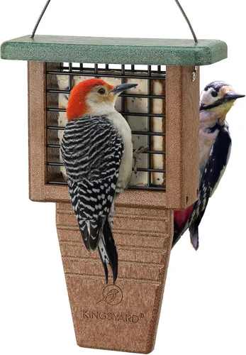Kingsyard Comedero de sebo de plástico reciclado, alimentador de sebo para colgar en el exterior, resistente y duradero, ideal para pájaros Verde