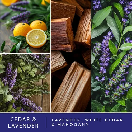 Miniatura 2 de ScentSationals Cera perfumada de cedro y lavanda, lavanda, cedro blanco y caoba, 10 onzas (24 cubos)
