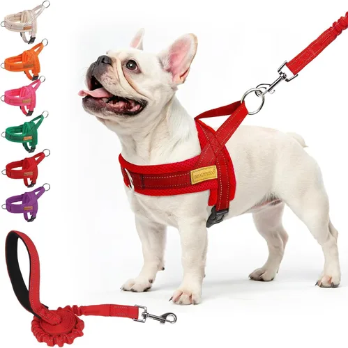 Miniatura 19 de BEAUTYZOO Arnés para Perros Pequeños, Juego de Arnés y Correa sin Tirones, Arnés de Chaleco para Cachorros Suave a Prueba de Escapes con Manija