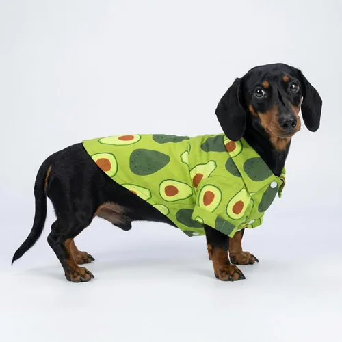 Miniatura 5 de Fitwarm Camisa hawaiana para perro con aguacate, ropa divertida de verano para perros pequeños, niños y niñas, acogedor atuendo con cuello