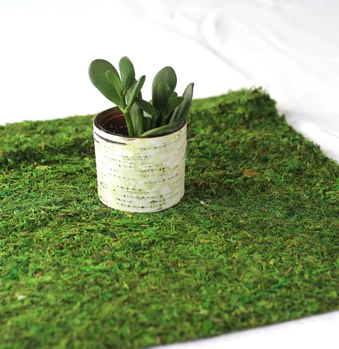 Miniatura 13 de Alfombra y tapetes de musgo preservado (12 pulgadas x 6 pies)