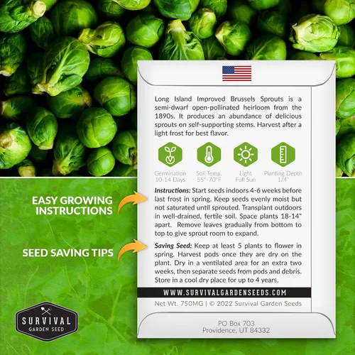 Miniatura 2 de Survival Garden Seeds - Coles de Bruselas mejoradas de Long Island para plantar - 2 paquetes con instrucciones para plantar y cultivar deliciosos