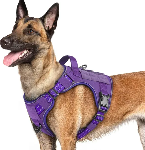 Miniatura 49 de rabbitgoo - Arnés para perros pequeño sin tirones, chaleco táctico de servicio con Molle y asa de control, arnés militar ajustable y reflectante