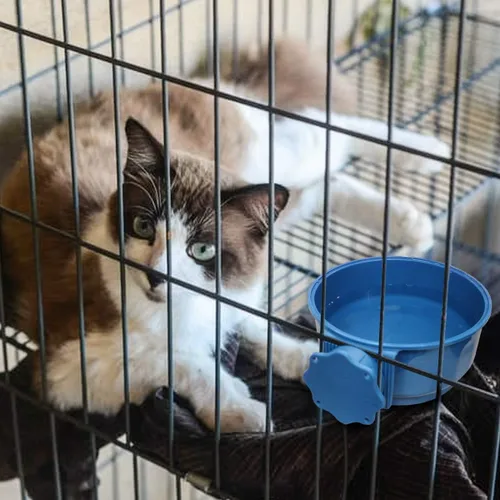 Miniatura 7 de NAMSAN Tazón pequeño con calefacción para mascotas para conejos y gatos en interiores, tazón de agua caliente de 0.6L, tazón térmico para agua