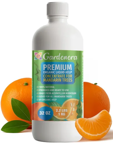 Miniatura 73 de GARDENERA Superalimento orgánico prémium de algas marinas y algas marinas para plantas AGLAONEMA, 8 onzas, concentrado de fertilizante líquido
