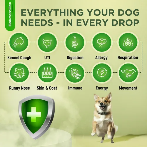 Miniatura 2 de Antibióticos naturales para perros y cachorros Antibióticos para perros de todas las edades Ingredientes a base de hierbas Ayuda con alergias
