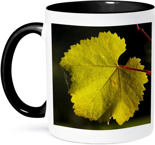 3dRose Estados Unidos, Oregon, Keizer, Pinot Gris hoja de viñedo - US38 RBR0742 - Rick A Brown 11oz taza negra de dos tonos