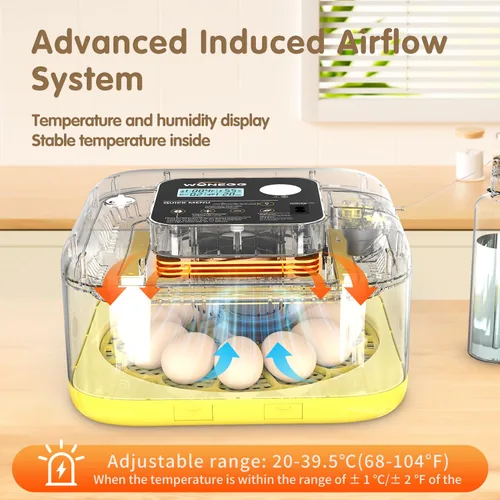 Miniatura 2 de HOWOOlUA Incubadora de 12 huevos para incubar huevos con giro automático, control de temperatura y humedad, incubadora de gran capacidad