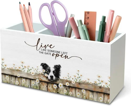 Miniatura 21 de DILSJ Organizador inspirador de 2 compartimentos para lápices, organizador para escritorio, amantes de los pollos regalos para mujeres, Live Like