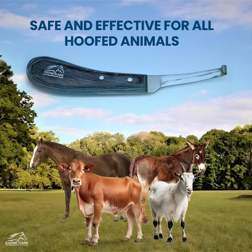 Miniatura 6 de Equine Care Cuchillo de pezuña para zurdos – Hoja estrecha de acero inoxidable J2 afilada, mango ergonómico antideslizante Herramienta profesional