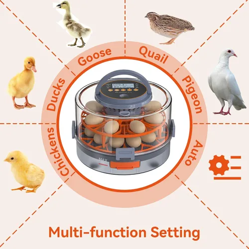 Miniatura 5 de Incubadora de huevos para incubar 18 huevos con giro automático, sensor de humedad, 5 modos preestablecidos, tapa transparente para observación