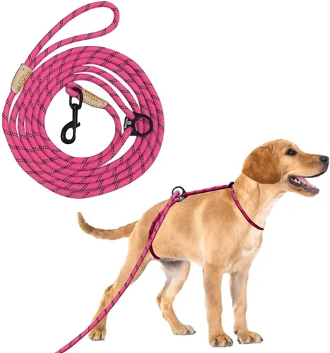 Miniatura 5 de Correa larga de 12 pies para perro, sin tirones, sin estrangulamiento, antitirones, para caminar, doble gancho y a prueba de escapes para todas