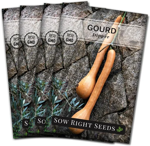 Miniatura 9 de Sow Right Seeds - Semillas de calabaza Dipper para plantar - Paquete de reliquia sin OMG con instrucciones para plantar y cultivar un huerto