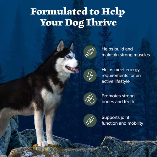 Miniatura 4 de Blue Buffalo Wilderness - Alimento seco natural con alto contenido proteínico y cereales saludables para perros adultos, pato, bolsa de 4.5 libras