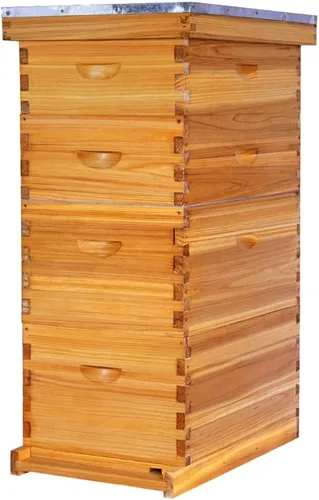 Miniatura 10 de POLLIBEE Las colmenas de abeja Langstroth con revestimiento de cera de abeja de 8 marcos incluyen 1 caja profunda y 1 caja mediana para abejas