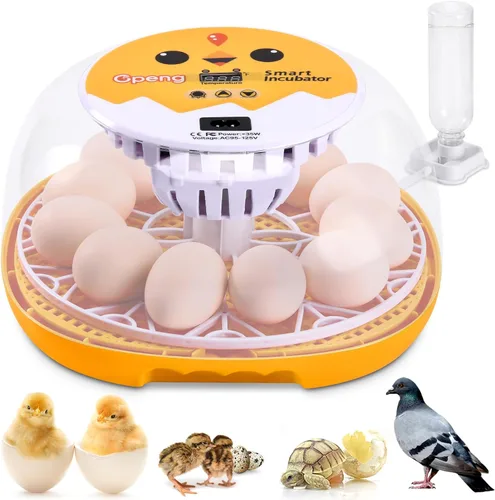 Gpeng Incubadora de huevos, incubadora de 12 huevos con giro automático de huevos, control automático de temperatura, para incubar pollo, ganso,