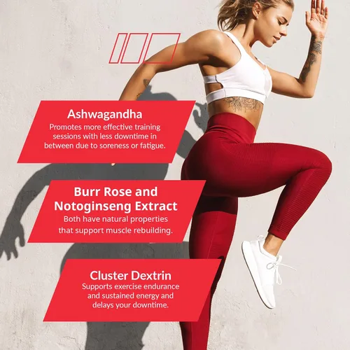 Miniatura 7 de Granite Nutrition Recovery - Bebida intraentrenamiento prémium con EAA, dextrina en racimo, Sensoril y Senactiv para rendimiento atlético