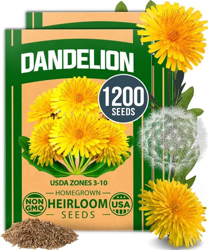 Miniatura 134 de HOME GROWN Mezcla de semillas germinantes de primera calidad, microgreens 118,200 semillas para cultivo en interiores, brócoli, alfalfa, rábano