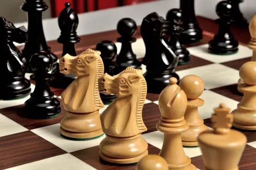 Miniatura 7 de The House of Staunton The Wild Knight Series Chess Set, Box, & Board Combination - 3.75" King