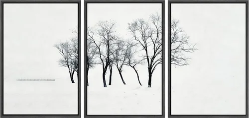 Miniatura 83 de SIGNWIN Lienzo enmarcado para pared, juego de arte nublado de tormenta, cielo, bosque otoñal, árboles, rústico, naturaleza, fotografía, realismo