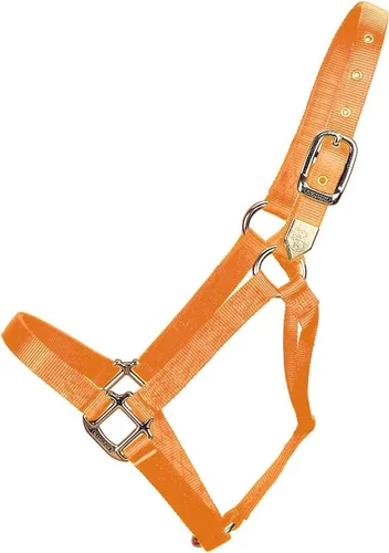 Miniatura 23 de Hamilton Caballo de nailon de 1 pulgada, tamaño pequeño (500-800 libras), azul baya