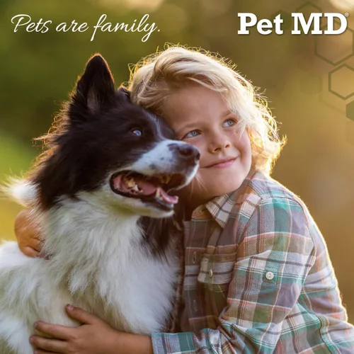 Miniatura 5 de Aerosol medicinal antiséptico y antifúngico para perros, gatos y caballos con clorhexidina, ketoconazol, ácidos grasos esenciales, aloe y vitamina