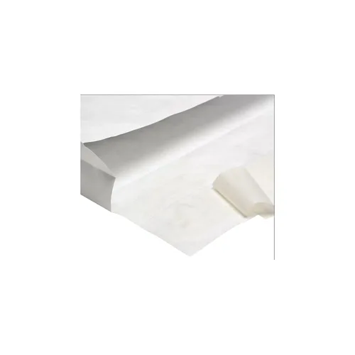 Miniatura 2 de Survivor R4492 Tyvek Booklet Expansion Mailer, 12 x 16 x 2, blanco, 18 libras (caja de 100)