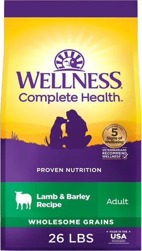 Miniatura 28 de Wellness Complete Health - Alimento seco para perros con granos, ingredientes naturales, fabricado en Estados Unidos con carne real, todas