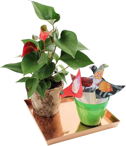 Miniatura 2 de Achla Designs Bandeja cuadrada, 10", cobre