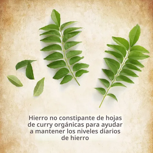 Miniatura 5 de Garden of Life Vitaminas Prenatales para Mujeres, Folato Orgánico para Energía y Desarrollo Fetal Saludable, Hierro sin estreñimiento, Vitamina C