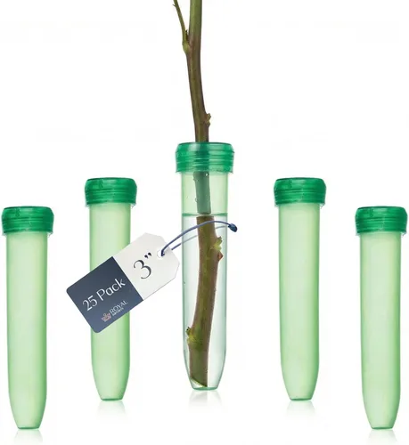 Miniatura 13 de Royal Imports Tubos de Agua Florales con Tapas – Viales de Flores de Plástico Verde de 2.5" para Rosas de Tallo Individual, Brotes, Ramos