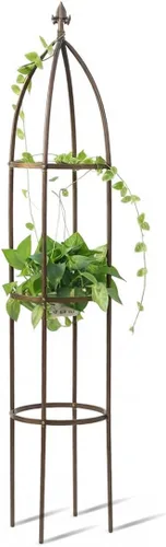 Miniatura 9 de Enrejado de jardín de obelisco 100% metálico de 6.3 pies de alto, soporte resistente para plantas para enredaderas y soportes de flores, 1 pieza