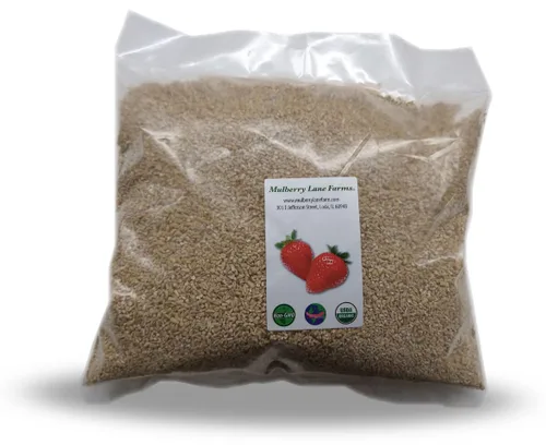 Avena cortada de acero (corte de acero), 5 libras (granos de avena, avena irlandesa), orgánica certificada por USDA, sin OMG, a granel, Mulberry