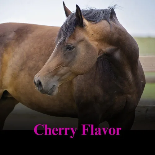 Miniatura 3 de SU-PER Suplemento de Chasteberry para caballos, apoya la regulación hormonal y la función saludable de las glándulas pituitarias en yeguas