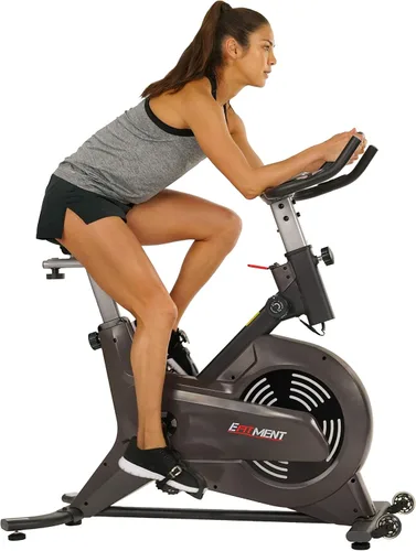 EFITMENT Exercise Bike for Home, Magnetic Indoor Cycling Bike for Cardio Workout Gris