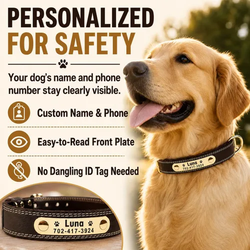 Miniatura 2 de Collar de cuero para perro personalizado con placa de nombre grabable - Collar con etiqueta de identificación duradera - Collar para perro