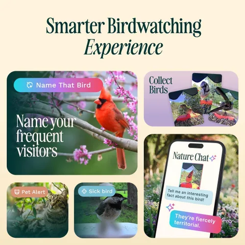 Miniatura 8 de Birdbuddy PRO Comedero Inteligente para Aves sin Energía Solar con Cámara - Identificación de Especies de Aves por IA, Fotos de 5MP, Cámara