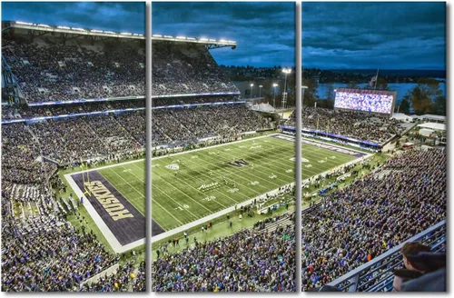 Miniatura 10 de 3 piezas de arte de pared deportivo del equipo de fútbol de los Vikings de Estados Unidos, pinturas de estadios deportivos Minnesota, Estados